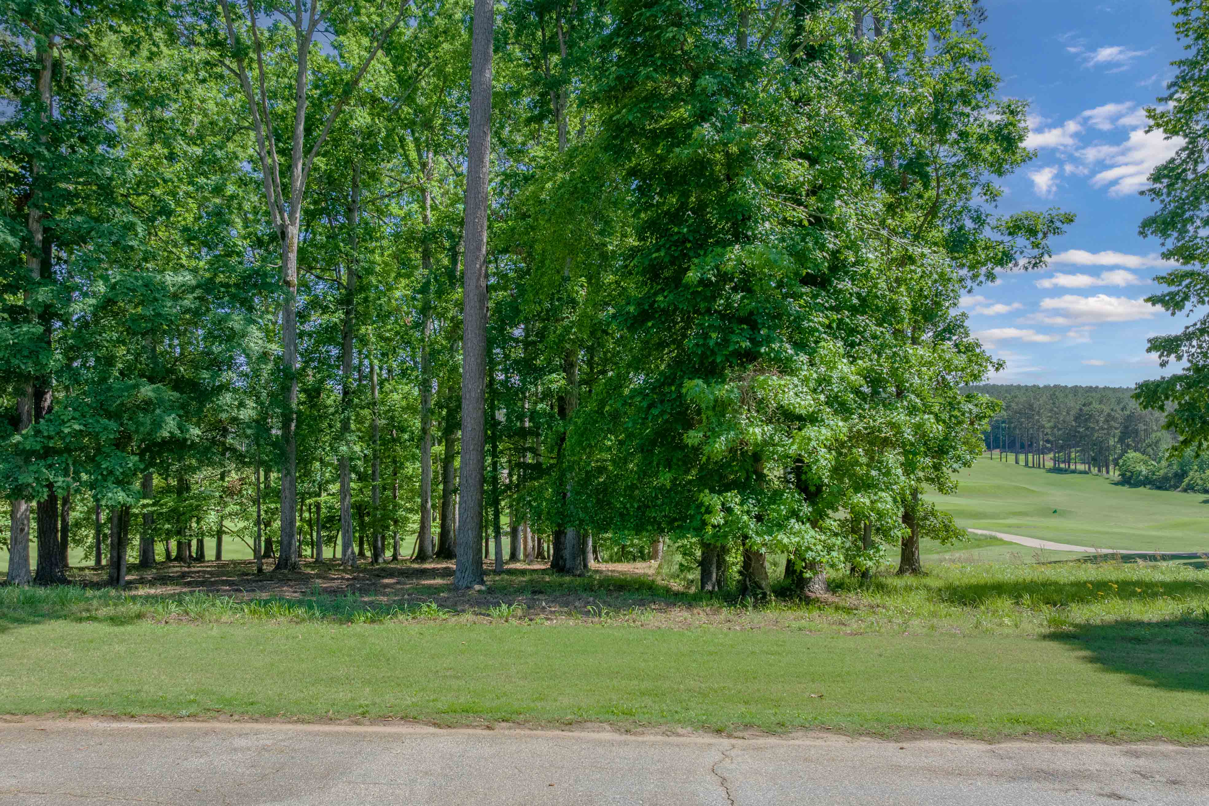 1040 Bunker Bend image 2